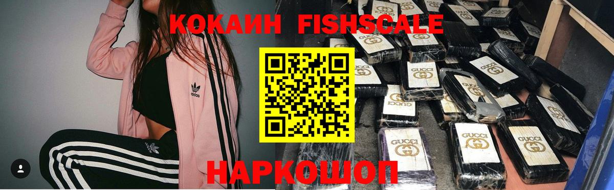Cocaine Fish Scale  Вход с VPN  Гай  Cocaine Перу 