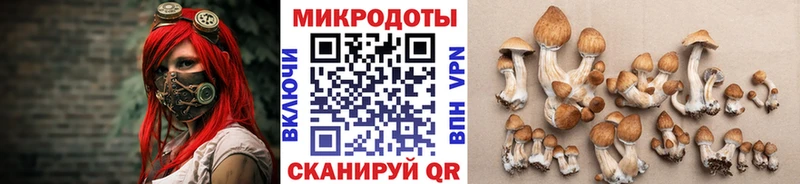 Галлюциногенные грибы MAGIC MUSHROOMS  Гай 