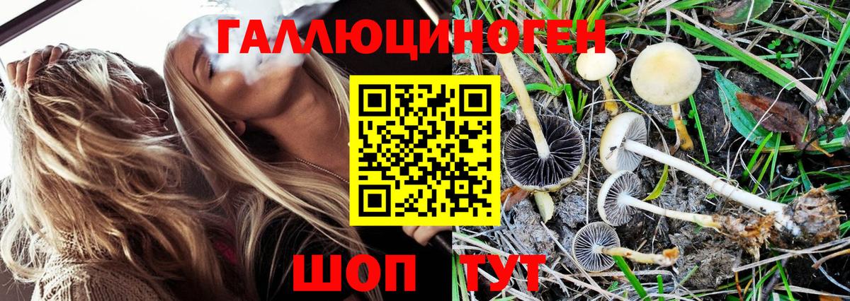 Галлюциногенные грибы ЛСД Гай