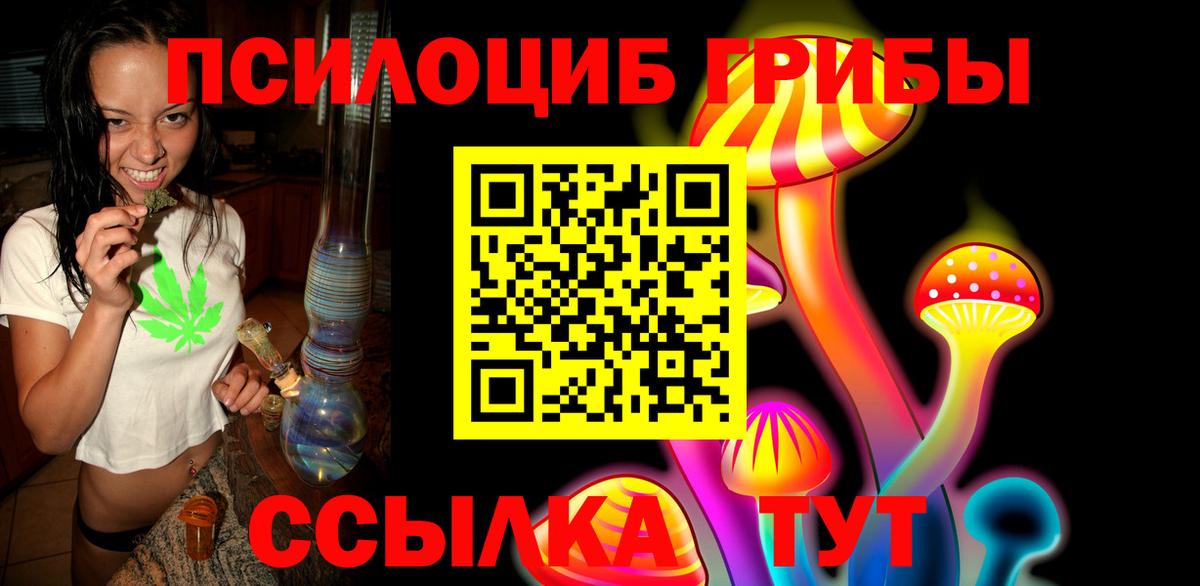 Псилоцибиновые грибы мицелий Гай